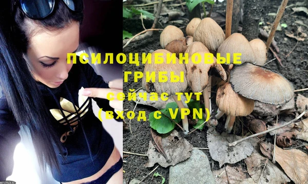 молекула духа Баксан