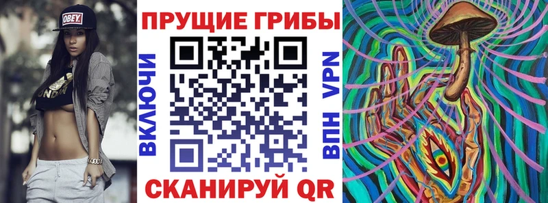 Галлюциногенные грибы Psilocybe  гидра маркетплейс  Гвардейск  купить закладку 